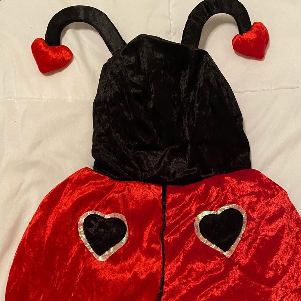 Lady bug costume. Toddler
